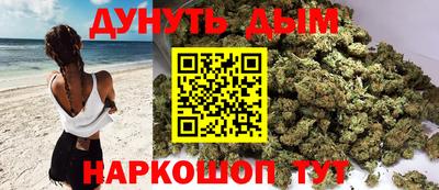 альфа пвп Новокубанск