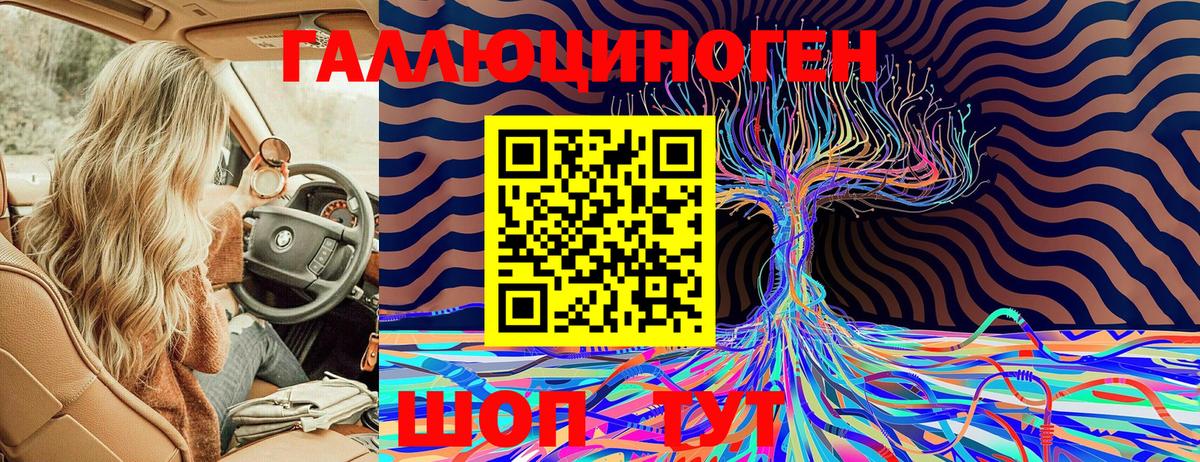 Копейск  Псилоцибиновые грибы Magic Shrooms  Галлюциногенные грибы GOLDEN TEACHER  Вход с VPN 